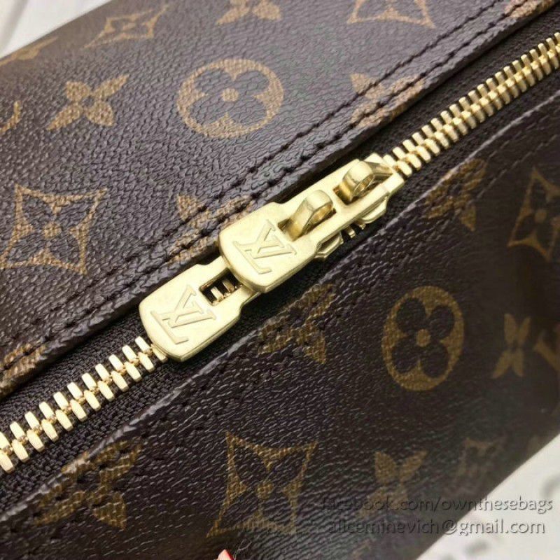 Dog Print Speedy Bandouliere 30 M41112